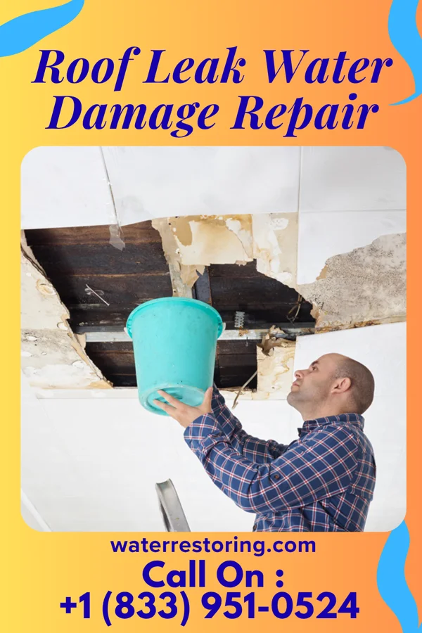 Roof Leak Water Damage Repair in Clayton, OK